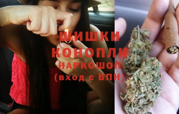 PSILOCYBIN Абаза