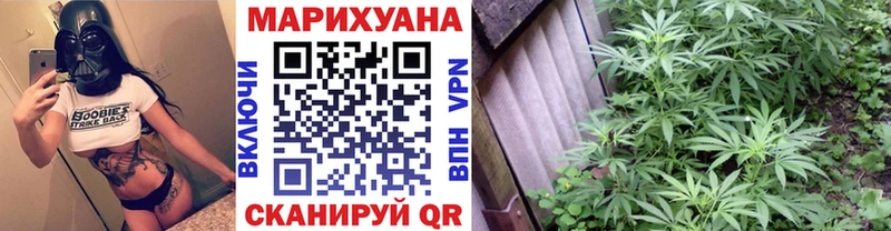 где найти наркотики  Нягань  Конопля марихуана 